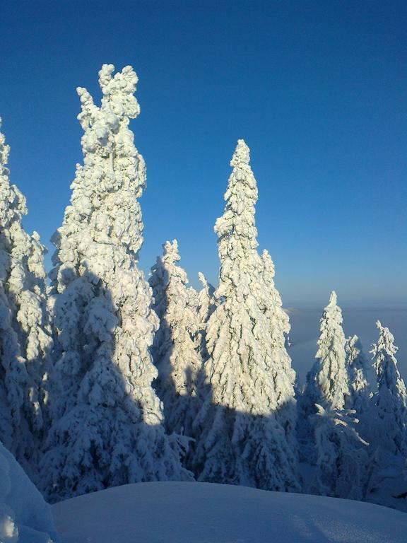 Koli Freetime Cottages Ahmovaara Camera foto