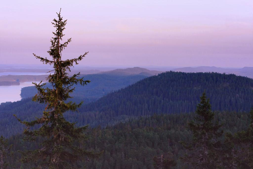 Koli Freetime Cottages Ahmovaara Camera foto
