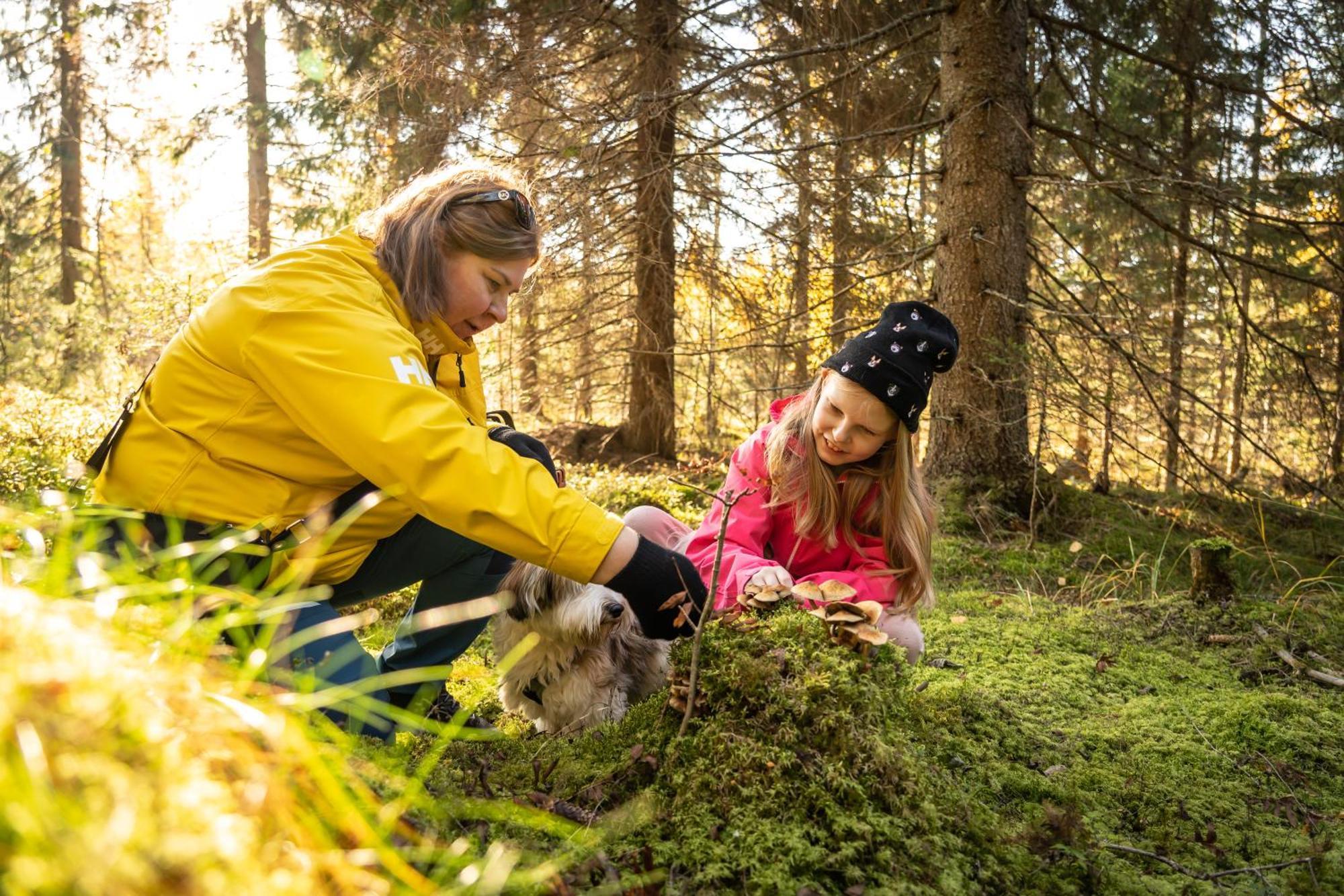 Koli Freetime Cottages Ahmovaara Esterno foto